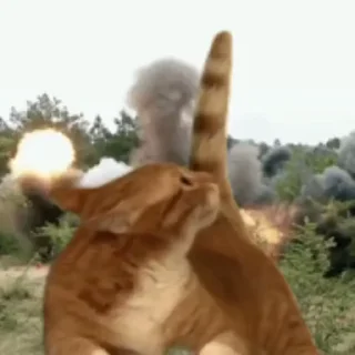 😱