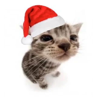 🎅