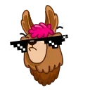 😎