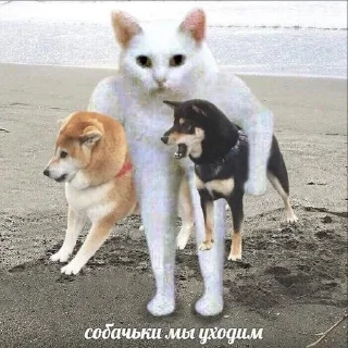 😬