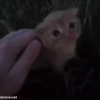 🥰
