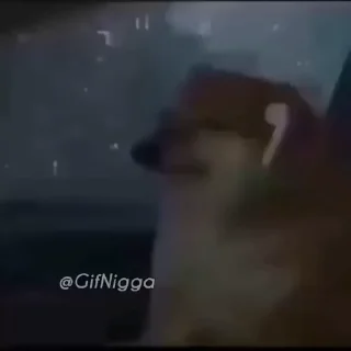 😂