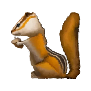🐿️
