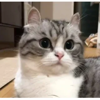 🥰