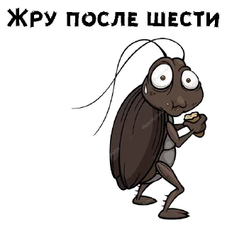 🥟