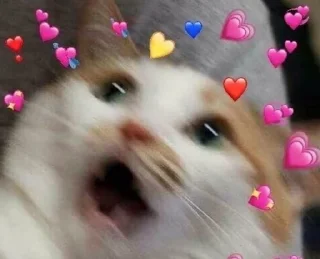 ❤️