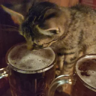 🍺
