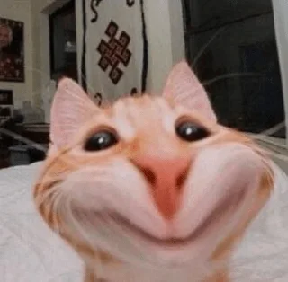 😊