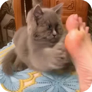 👍