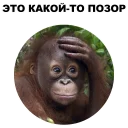 😨