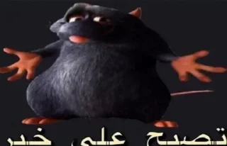 🤣