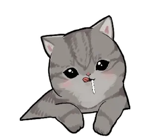 🐱