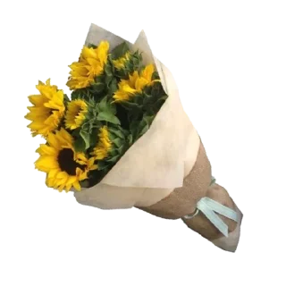 🌻