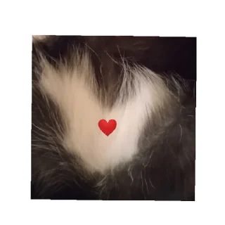 😄