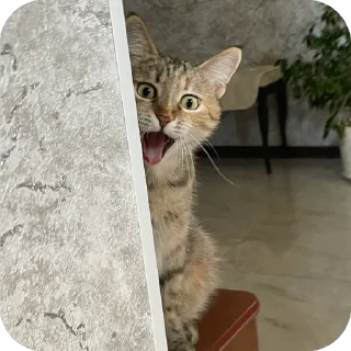 😦