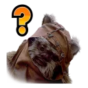 ❓