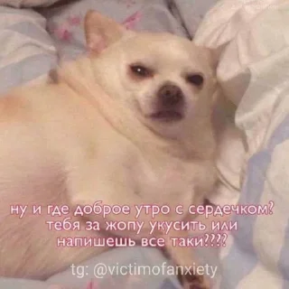 🌞