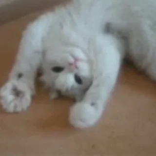 🙃