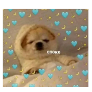 🌙
