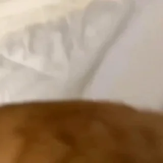 🐈‍⬛️