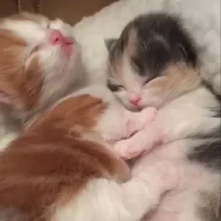 🤗