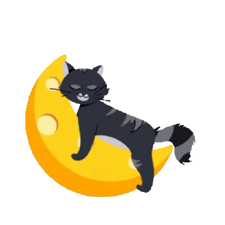 😻