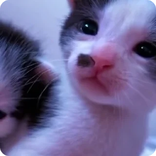😧