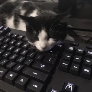😴