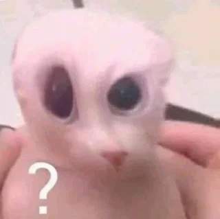 🤔