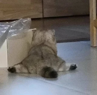 😑