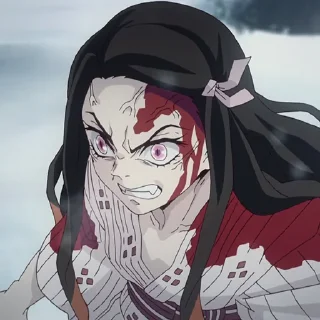 🛡
