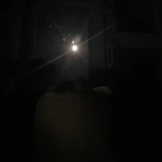 🌙