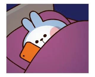 😴