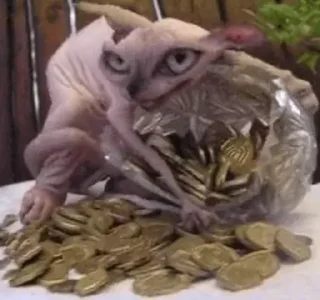 💰