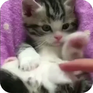 ☺️