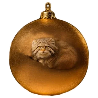🎄