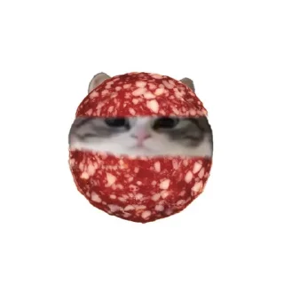 🥩