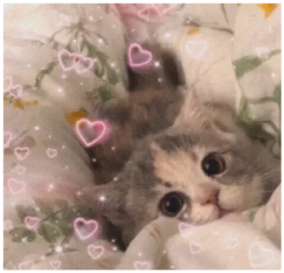 🥺