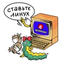 💻