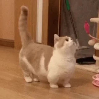 💓