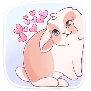 ❤️