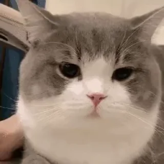 🥴