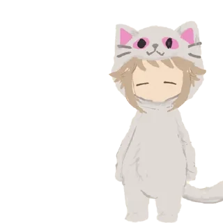 🐱