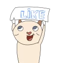 👍