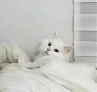 🥱