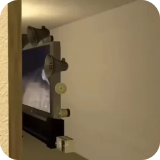 🤩