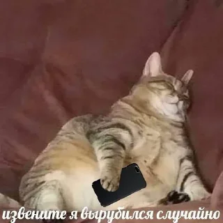 💤