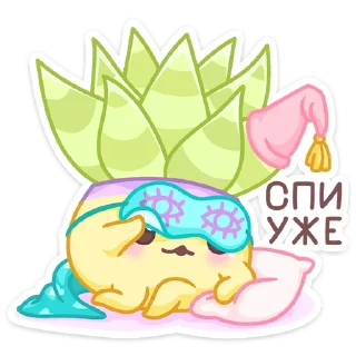 😴