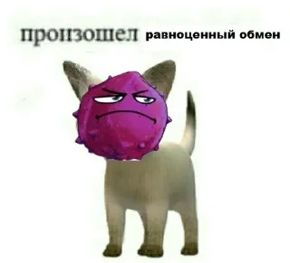 👍