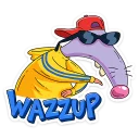 😎